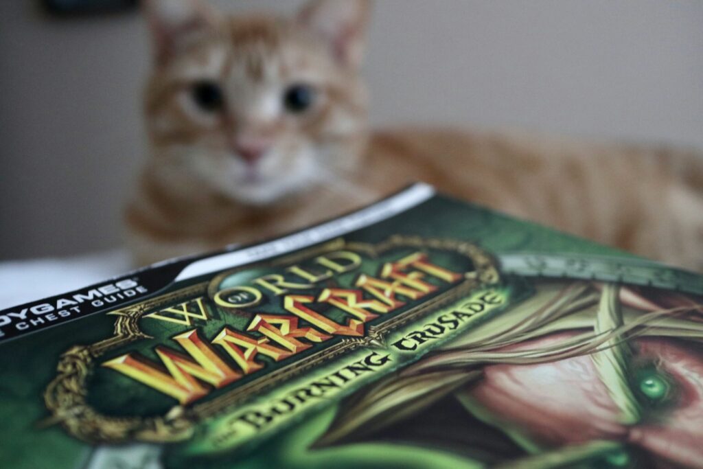 The gold problem in WoW Classic is really a time problem