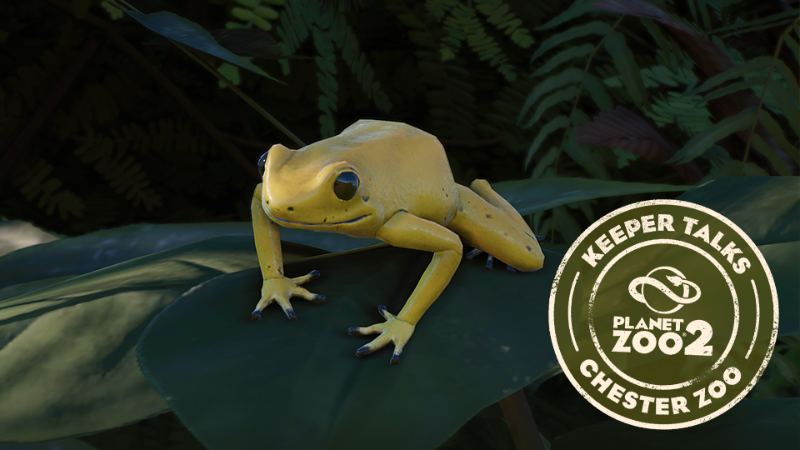 Planet Zoo 2 | Keeper Talks – Golden Poison Frog